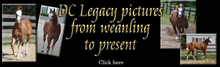 DC Legacy pictures from weanling to present.