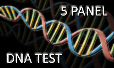 5 PANEL DNA TEST