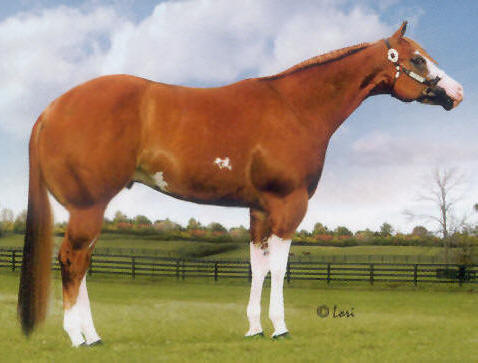 Double L Acres' DC Precision as a two year old.