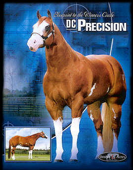 Double L Acres' DC Precision Paint Horse Journal Ad.
