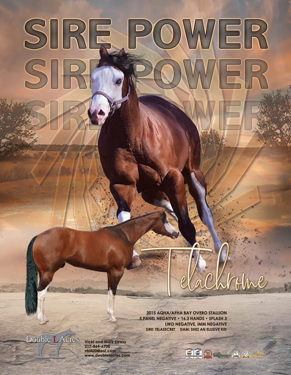 Sire Power Iem The One and Telachrome!